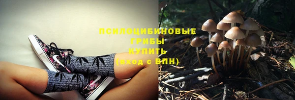 прущая мука Армянск