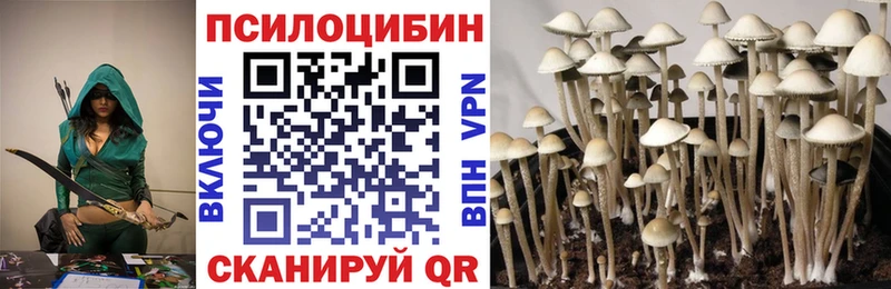 купить наркоту  Камень-на-Оби  Галлюциногенные грибы GOLDEN TEACHER 